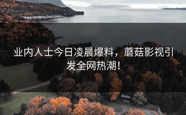 业内人士今日凌晨爆料，蘑菇影视引发全网热潮！
