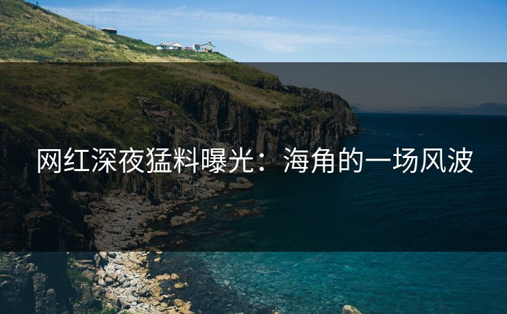 网红深夜猛料曝光：海角的一场风波