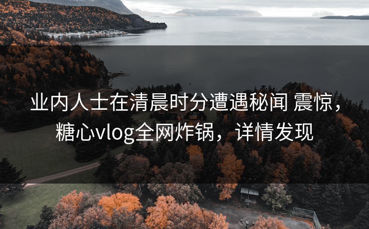 业内人士在清晨时分遭遇秘闻 震惊，糖心vlog全网炸锅，详情发现